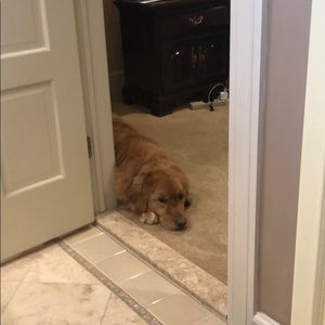 Meet your Posher, Sally